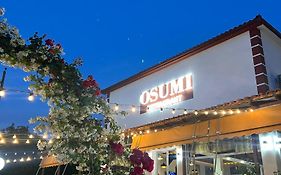 Guesthouse Osumi